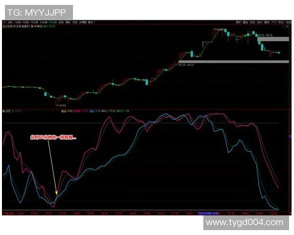 《探秘体育竞技游戏的魅力与发展趋势,如何突破虚拟与现实的界限》